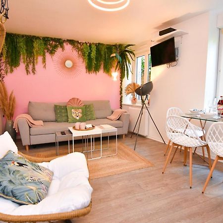 Le Nid Cosy - En Plein Coeur De Selestat Lejlighed Eksteriør billede