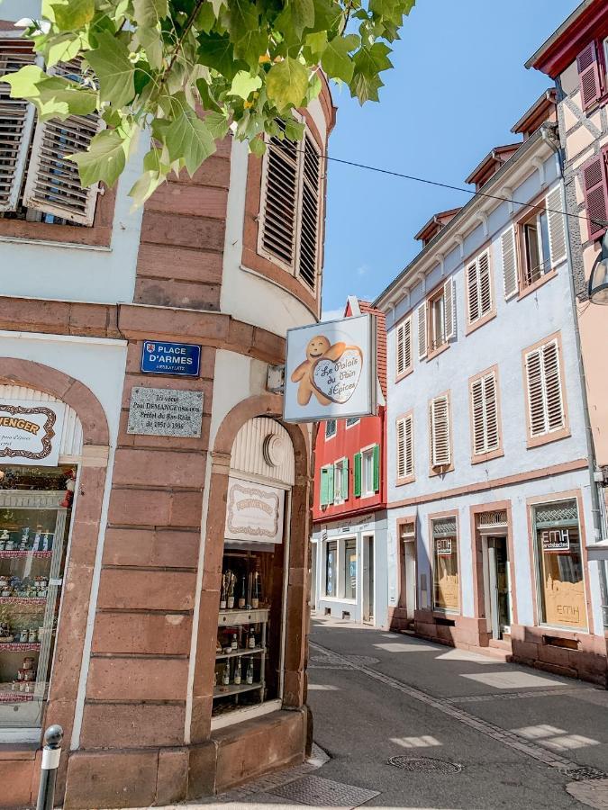 Le Nid Cosy - En Plein Coeur De Selestat Lejlighed Eksteriør billede